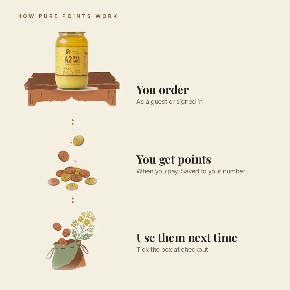How Pure Points work, in three steps: a jar of Anvayapure ghee on a counter, captioned You order; a pile of clay coins, captioned Points land when you pay; and a cloth pouch with coins dropping in, captioned Spend them next time.